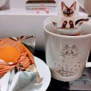 ヒメ日記 2026/02/23 03:11 投稿 けいこ 熟女の風俗最終章 宇都宮店