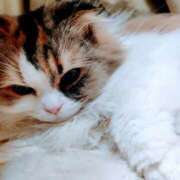 ヒメ日記 2026/02/25 16:10 投稿 けいこ 熟女の風俗最終章 宇都宮店