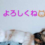 ヒメ日記 2026/02/28 15:21 投稿 けいこ 熟女の風俗最終章 宇都宮店