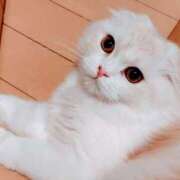 ヒメ日記 2026/03/01 07:23 投稿 けいこ 熟女の風俗最終章 宇都宮店