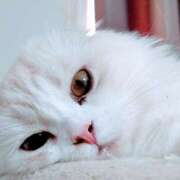 ヒメ日記 2026/03/06 16:41 投稿 けいこ 熟女の風俗最終章 宇都宮店