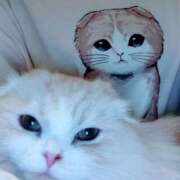 ヒメ日記 2026/04/10 05:51 投稿 けいこ 熟女の風俗最終章 宇都宮店