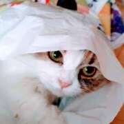 ヒメ日記 2026/04/10 16:31 投稿 けいこ 熟女の風俗最終章 宇都宮店