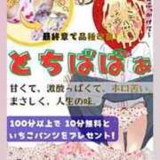 ヒメ日記 2026/04/14 04:18 投稿 けいこ 熟女の風俗最終章 宇都宮店