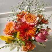 ヒメ日記 2025/11/24 20:27 投稿 れな 激安ドットコム