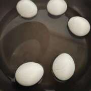 ヒメ日記 2026/01/20 04:49 投稿 れな 激安ドットコム