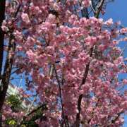 れな Thank you❤️‍🔥❤️‍🔥❤️‍🔥 激安ドットコム