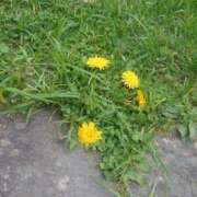 ちはや 今知りました ラブ・アンド・ラブ