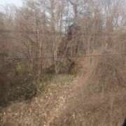 ヒメ日記 2026/03/14 16:06 投稿 ちはや ラブ・アンド・ラブ