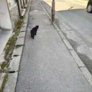 ヒメ日記 2026/03/20 11:24 投稿 ちはや ラブ・アンド・ラブ