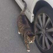 ヒメ日記 2026/03/20 15:06 投稿 ちはや ラブ・アンド・ラブ