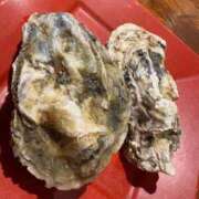 ヒメ日記 2025/08/15 10:42 投稿 ここな sakura