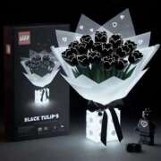 ヒメ日記 2026/01/05 17:22 投稿 ここな sakura