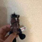 ヒメ日記 2026/02/09 12:09 投稿 ここな sakura