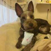 ヒメ日記 2025/10/05 14:02 投稿 かえら 丸妻 新横浜店