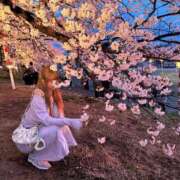 ヒメ日記 2025/06/26 01:03 投稿 西園寺うた Claris Tokyo～クラリス東京～