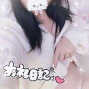 ヒメ日記 2025/07/01 13:57 投稿 みさき 推しの娘