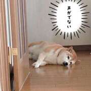 ヒメ日記 2025/08/25 08:45 投稿 りょうか ギン妻パラダイス 堺東店