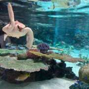 ヒメ日記 2025/10/10 08:50 投稿 りょうか ギン妻パラダイス 堺東店