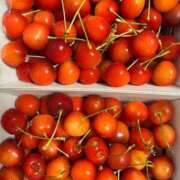 ヒメ日記 2026/02/01 19:44 投稿 りょうか ギン妻パラダイス 堺東店