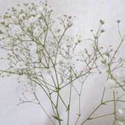 ヒメ日記 2026/02/05 10:01 投稿 りょうか ギン妻パラダイス 堺東店