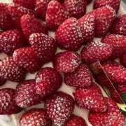 ヒメ日記 2026/03/13 17:29 投稿 りょうか ギン妻パラダイス 堺東店