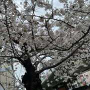 ヒメ日記 2026/03/21 06:53 投稿 りょうか ギン妻パラダイス 堺東店