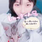 ヒメ日記 2025/07/23 10:06 投稿 すず カクテル(岡山)