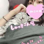 ヒメ日記 2025/09/16 10:24 投稿 すず カクテル(岡山)