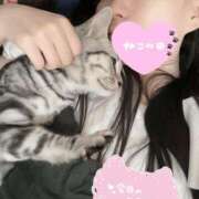 ヒメ日記 2025/09/22 10:54 投稿 すず カクテル(岡山)