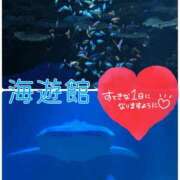 ヒメ日記 2025/10/19 16:51 投稿 すず カクテル(岡山)