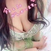 ヒメ日記 2025/11/15 09:48 投稿 すず カクテル(岡山)