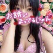 ヒメ日記 2026/04/15 19:18 投稿 すず カクテル(岡山)