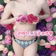 ヒメ日記 2026/05/19 16:03 投稿 すず カクテル(岡山)