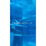 ヒメ日記 2026/05/08 13:44 投稿 すず ハピネス水戸