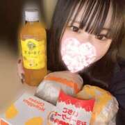 ヒメ日記 2026/03/20 16:15 投稿 うみの ハピネス水戸