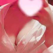 ヒメ日記 2025/12/08 09:35 投稿 収容番号：75番 非自由人躾専門店 淫姦収容所 日本橋本拠地