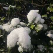 ヒメ日記 2026/02/08 07:07 投稿 おとは ハピネス水戸