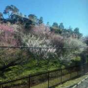 ヒメ日記 2026/03/09 08:52 投稿 おとは ハピネス水戸