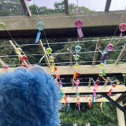 ヒメ日記 2025/07/12 22:11 投稿 かのこ ハピネス水戸