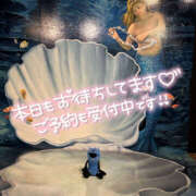 ヒメ日記 2025/07/15 16:44 投稿 かのこ ハピネス水戸