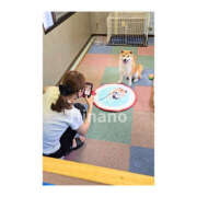 ヒメ日記 2025/07/18 11:48 投稿 ひなの ハピネス水戸