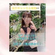 ヒメ日記 2025/09/04 12:28 投稿 ひなの ハピネス水戸