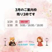 ヒメ日記 2026/03/26 11:56 投稿 ひなの ハピネス水戸