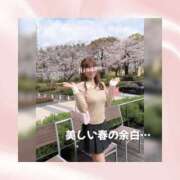 ヒメ日記 2026/03/28 08:00 投稿 ひなの ハピネス水戸