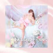 ヒメ日記 2026/04/15 08:02 投稿 ひなの ハピネス水戸