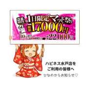 ひなの おまかせフリー ハピネス水戸
