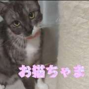 ヒメ日記 2025/06/26 15:36 投稿 きゅう ハピネス水戸