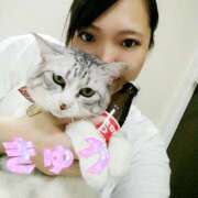 ヒメ日記 2025/07/12 16:38 投稿 きゅう ハピネス水戸