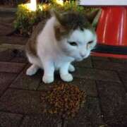 ヒメ日記 2025/07/15 16:58 投稿 きゅう ハピネス水戸